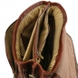 Preview: Multifach Laptop-Aktentasche Alessandria interieur Preview: Multifach Laptop-Aktentasche Alessandria interieur